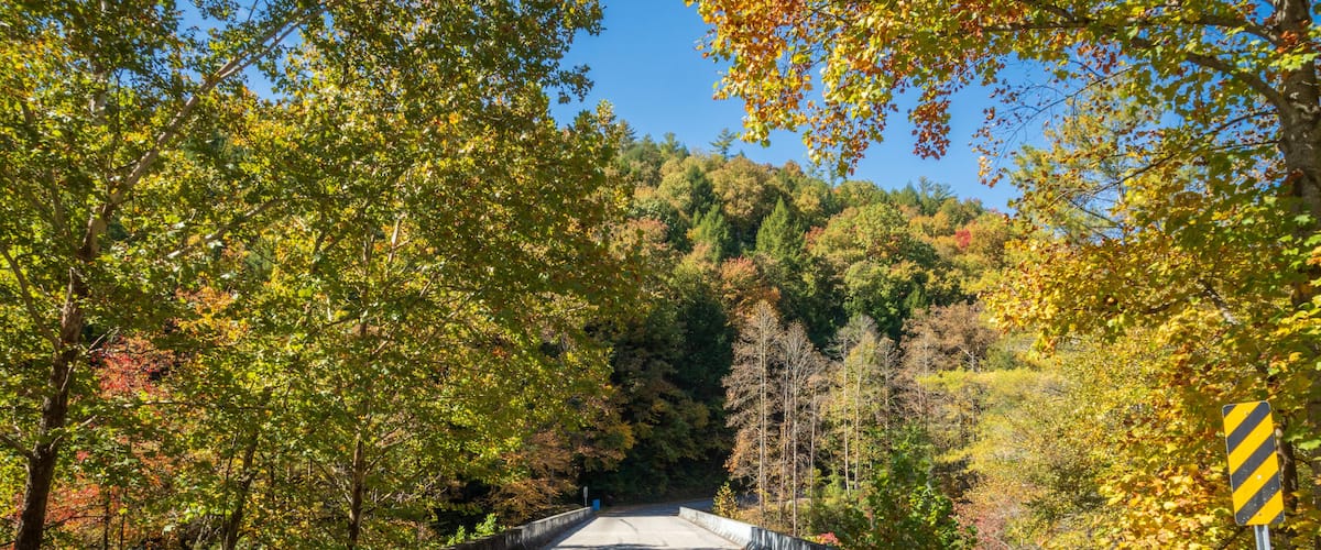 A bridge surrounded by autumn foliage.