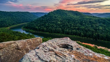 A river winding through a forested valley with a rocky foreground.