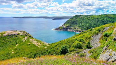 Sunny summer day over rocky coastline cliffs of Canadian National Historic site Fort Amherst, St John's Newfoundland. people in distance hiking along the Cabot trail.