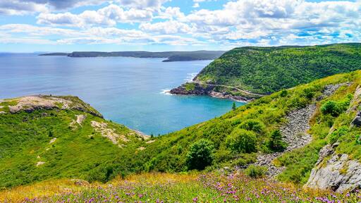 Sunny summer day over rocky coastline cliffs of Canadian National Historic site Fort Amherst, St John's Newfoundland. people in distance hiking along the Cabot trail.