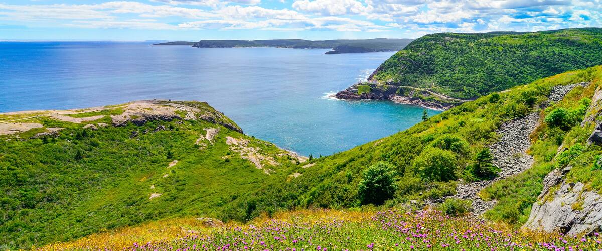 A coastal landscape with green hills, a rocky shoreline, and a clear blue sea.