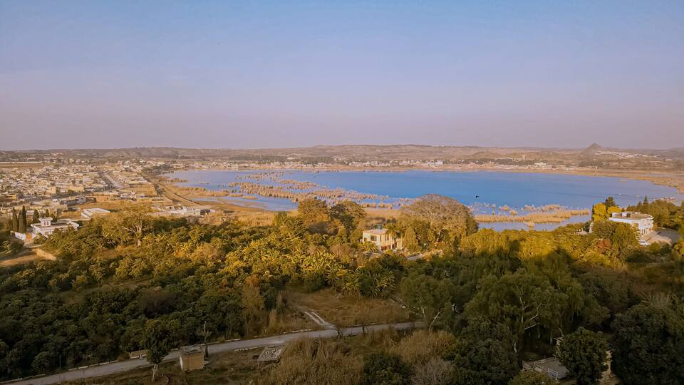 A coastal town with a large body of water, dense greenery, and scattered buildings.