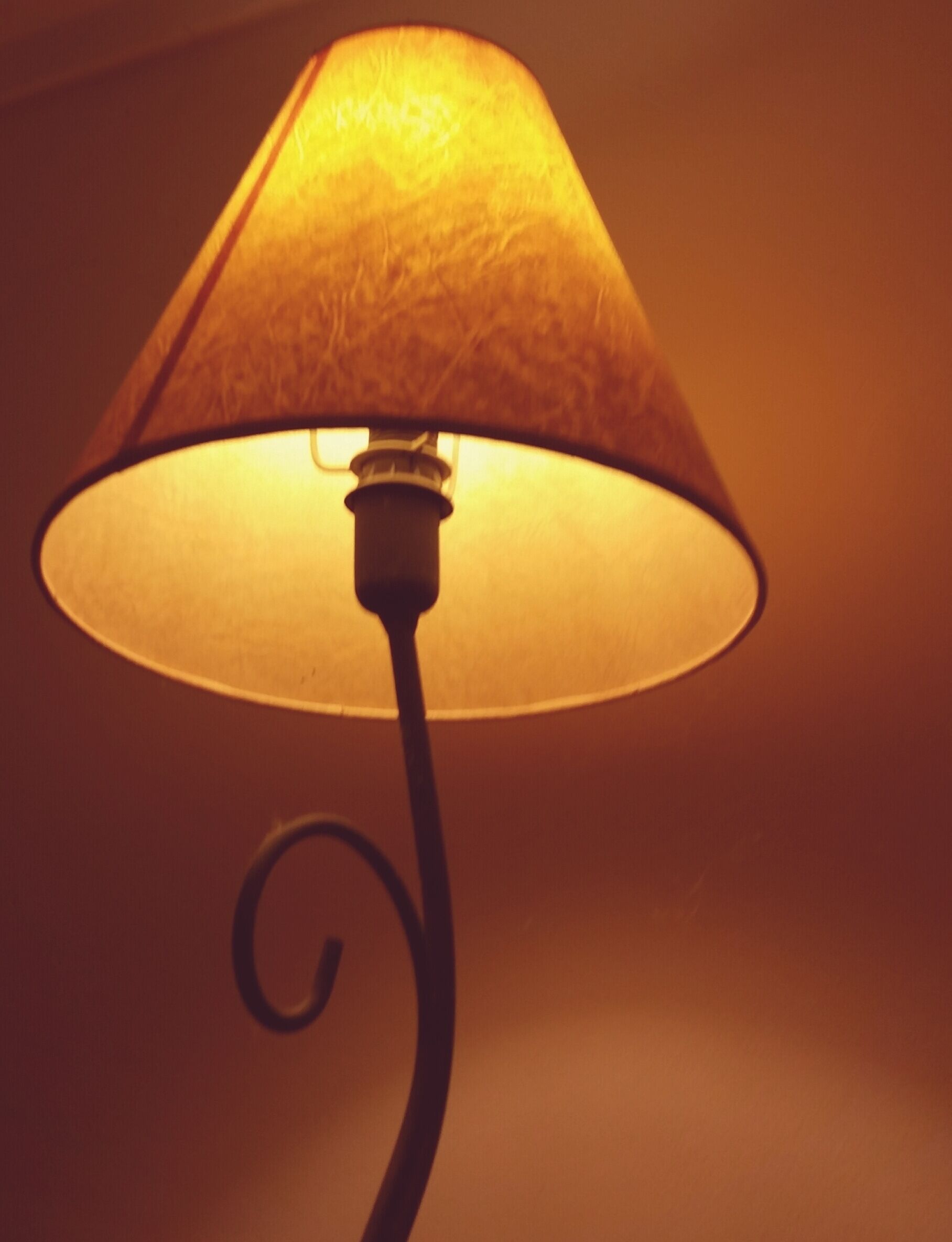 A lamp with a conical shade and a curved stand.