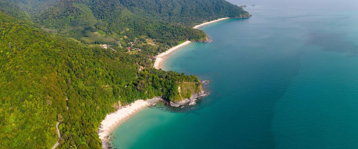 A coastal landscape with a beach, dense forest, and a clear view of the sea.