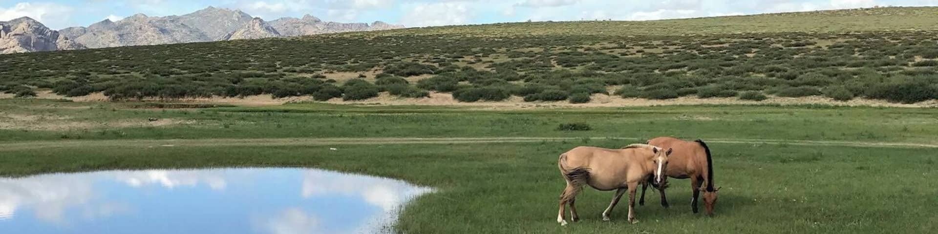 Amazing experience staying with the nomad family in Hustai National Park in Mongolia and admiring wild horses in their natural environment!
Tour organised through Mongolian Vision Tours - highly recommended!
#LifeAtExpedia