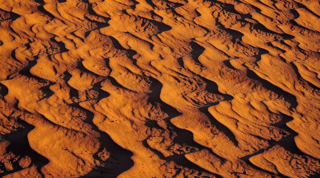 I'm not sure of the exact location - it was a roadside stop - but some kind of psychedelic sands I spotted in Mongolia.
#adventure #mongolia #nature #asia