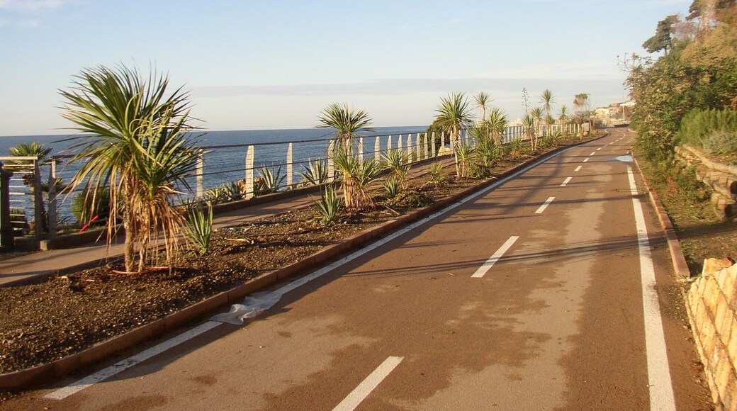 Pista pedo-ciclabile