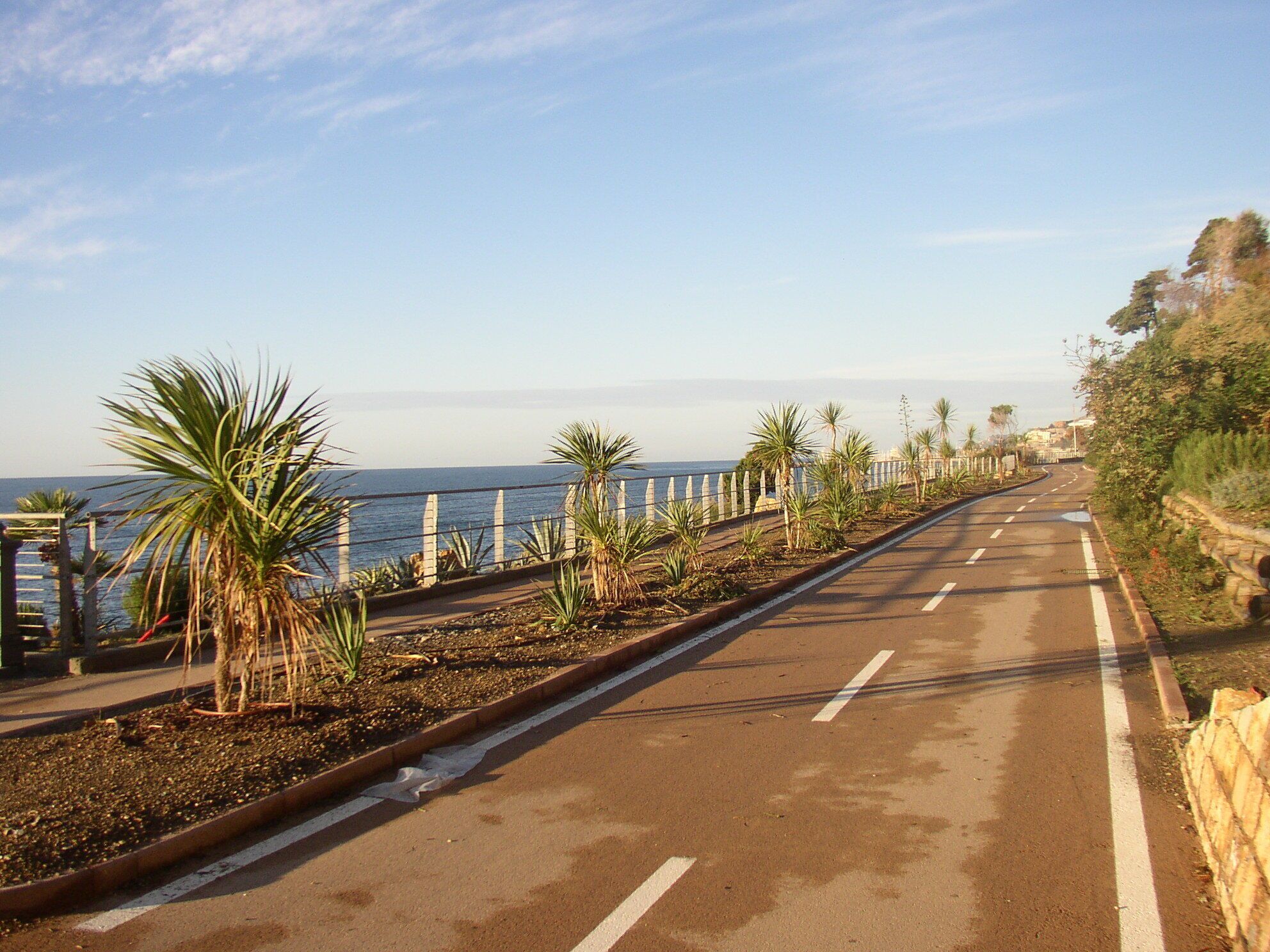 A coastal road with palm trees, a sea view, and a stone wall on the right.