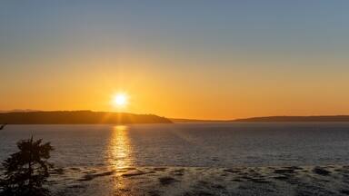 A sunset over a calm body of water with a forested island in the distance.
