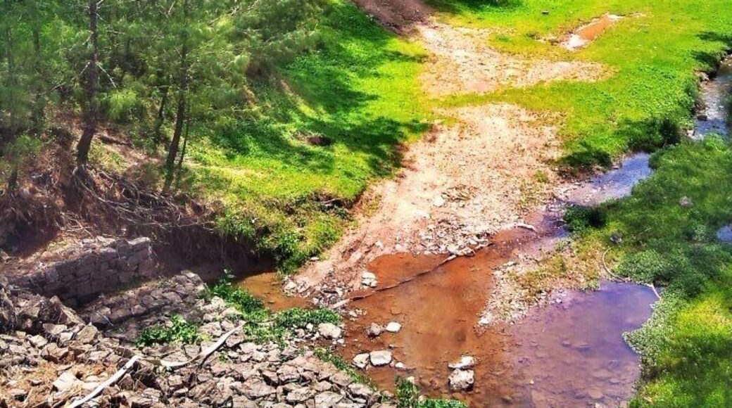 Bonjousa lake muddy ways :p