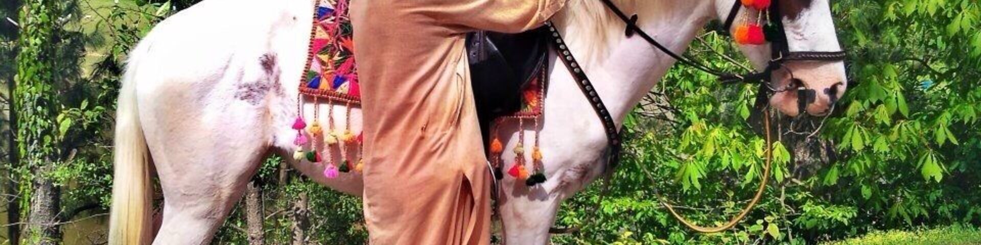 You got to love those traditionaly decorated horses ...and this one is such a beauty.MashAllah