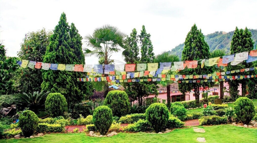 Tucked away on the edge of the Kathmandu valley, the Himalayan International Yoga Acadmey (HIYA) is run by Dr Subodh Simkhada, he and a few other instructors who teach yoga and meditation practices to those staying at the academy. Massages are also available within the packages they offer.
You can stay overnight in a tent or the bungalow which also houses the main office.
Should you want to learn how to be a yoga instructor, you can do that too over several months (applicants must enjoy copious amounts of dahl baht)