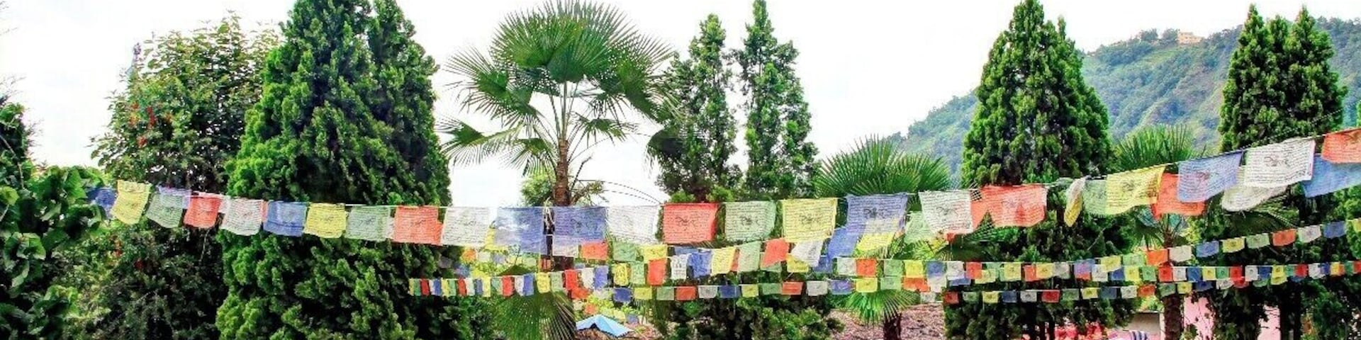 Tucked away on the edge of the Kathmandu valley, the Himalayan International Yoga Acadmey (HIYA) is run by Dr Subodh Simkhada, he and a few other instructors who teach yoga and meditation practices to those staying at the academy. Massages are also available within the packages they offer.
You can stay overnight in a tent or the bungalow which also houses the main office. 
Should you want to learn how to be a yoga instructor, you can do that too over several months (applicants must enjoy copious amounts of dahl baht)