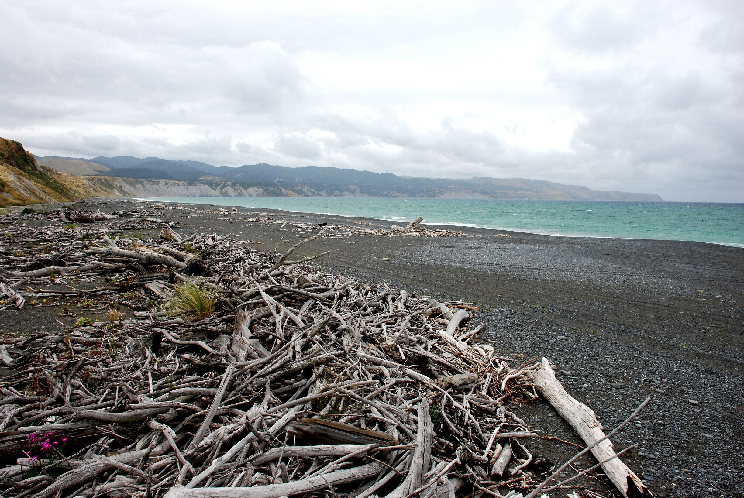 A beach with driftwood and a view of mountains in the distance.