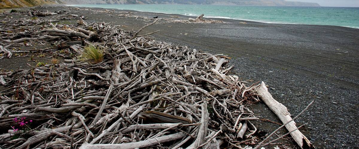 A beach with driftwood and a view of mountains in the distance.
