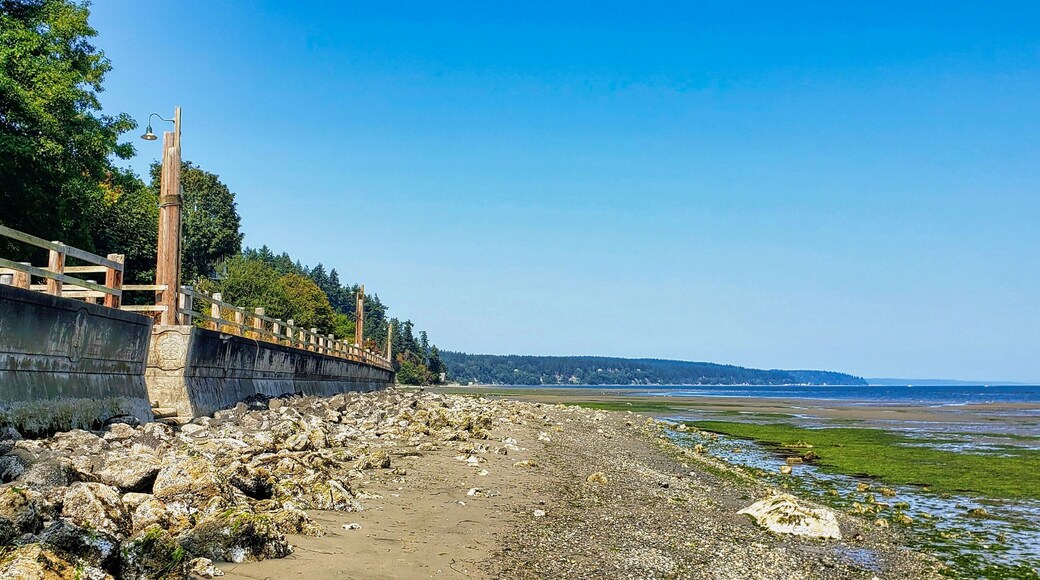 ไทยีบีช