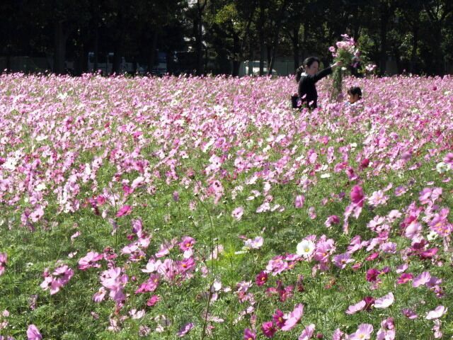 2 Chome-1 Hashimoto, Midori-ku, Sagamihara-shi, Kanagawa-ken 252-0143, Japan