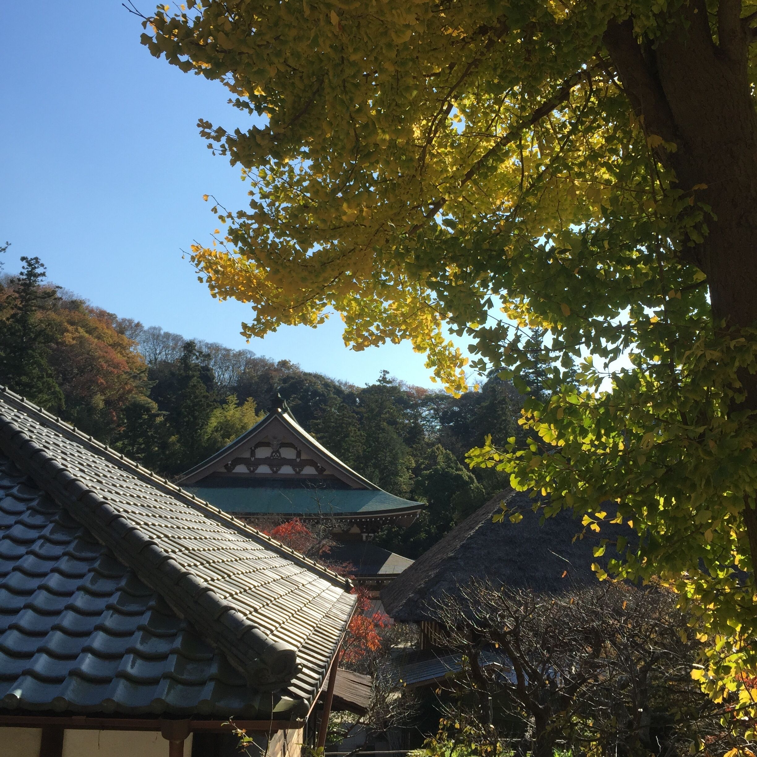 Yamanouchi, Kamakura, Kanagawa Prefecture 247-0062, Japan