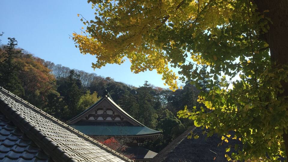 Yamanouchi, Kamakura, Kanagawa Prefecture 247-0062, Japan