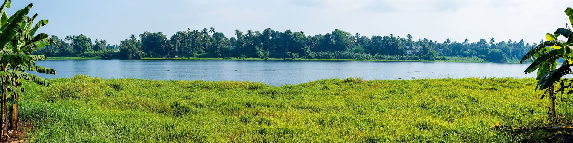 Panoramic river view in Kerala's Backwaters, India.