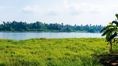 Panoramic river view in Kerala's Backwaters, India.