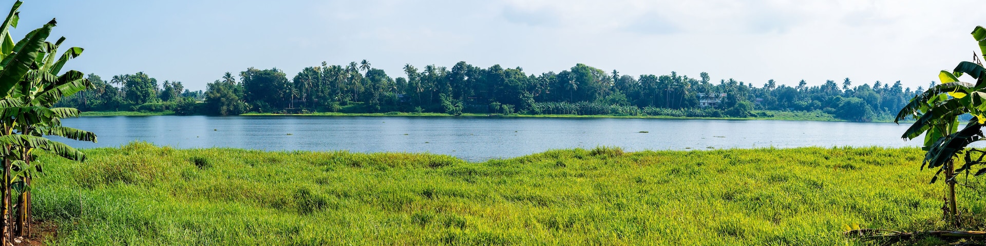 Panoramic river view in Kerala's Backwaters, India.