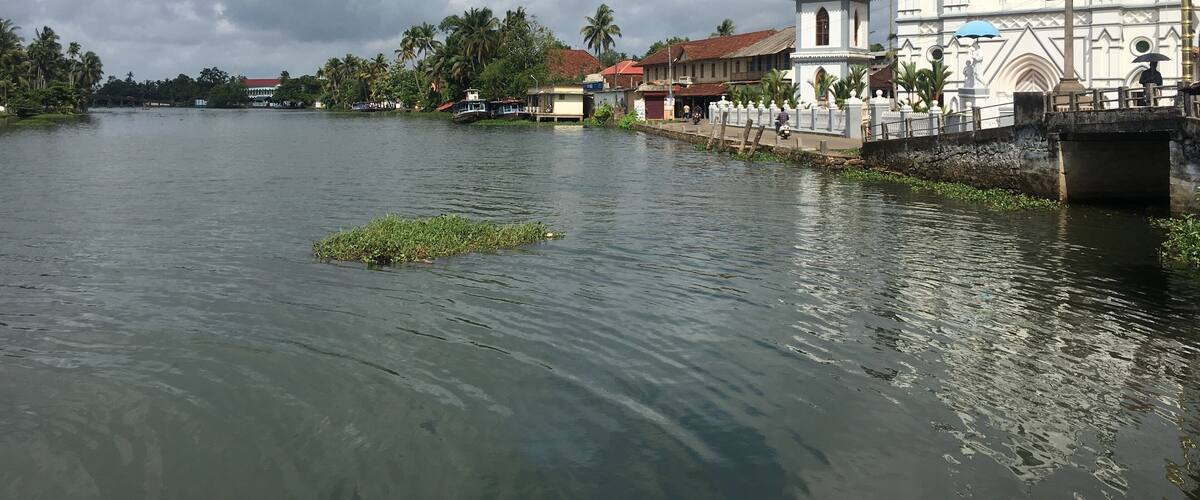 A river with a small island, a white church with a cross, and palm trees in the background.