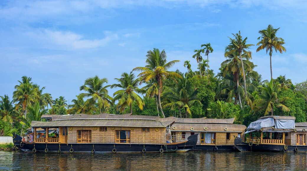 Panoramic river view and traditional house boat in Kerala's Backwaters, India.