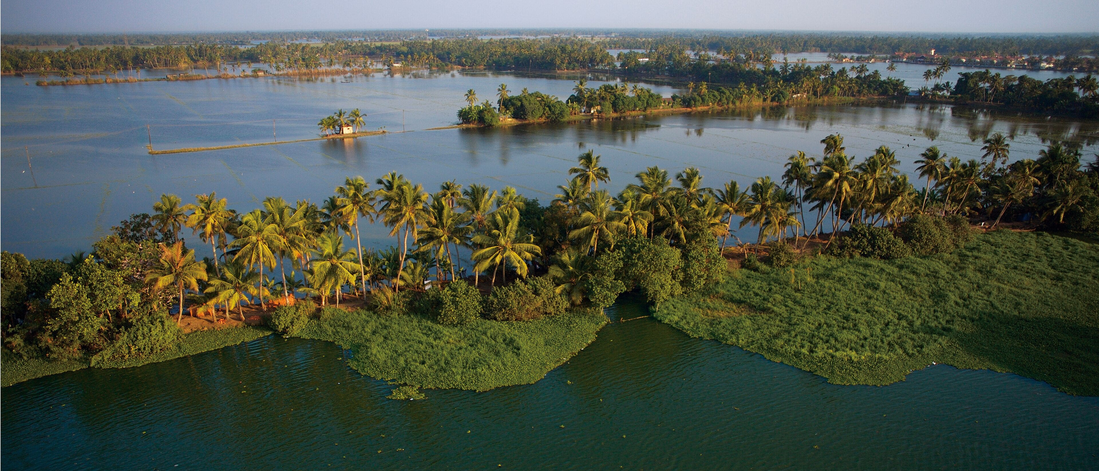Aerial view of Alleppey backwaters, Kerala, India.