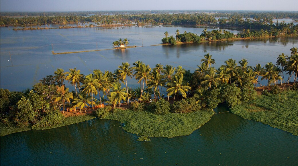Aerial view of Alleppey backwaters, Kerala, India.