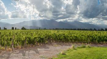 ๋ฃจ์๋ฆฌ์๊ฐ