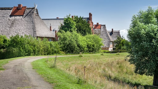 Un paisaje rural con casas de techo de paja, un sendero de tierra y abundante vegetación.