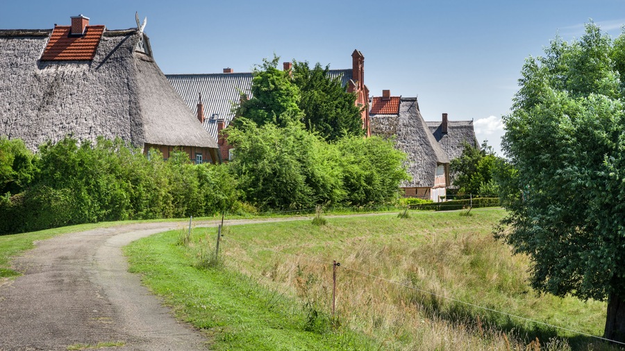 A rural landscape with thatched-roof houses, a dirt path, and lush greenery.