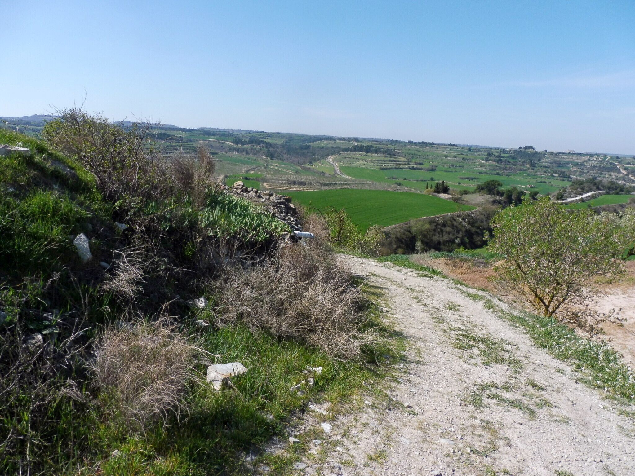 Castell de Rubinat (Ribera d'Ondara): vistes des del castell