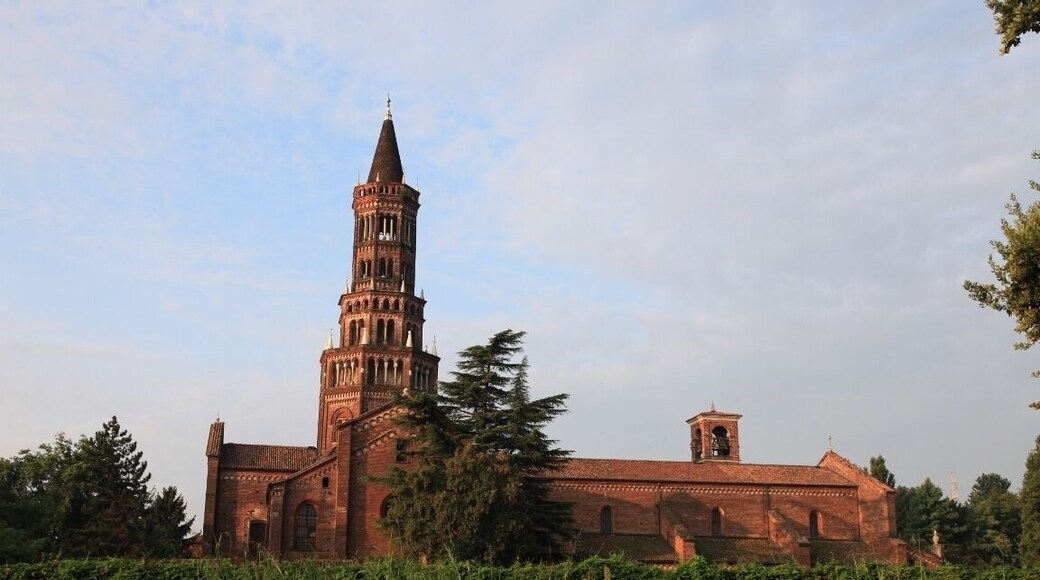 Chiaravalle Milanese 08/2010