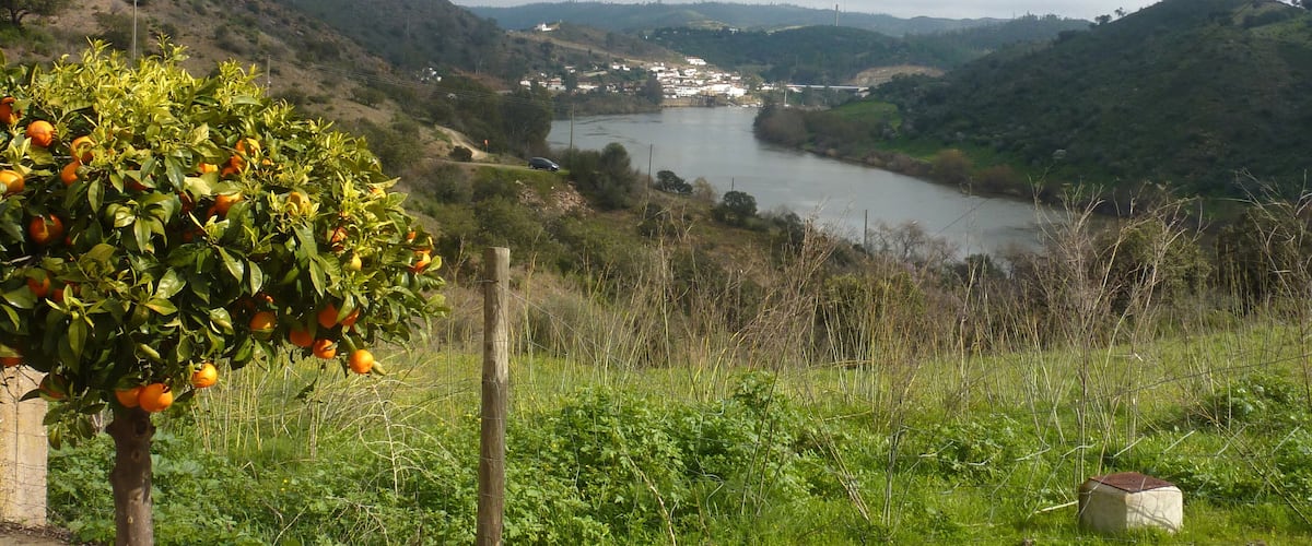 Pomarao - River Guadiana