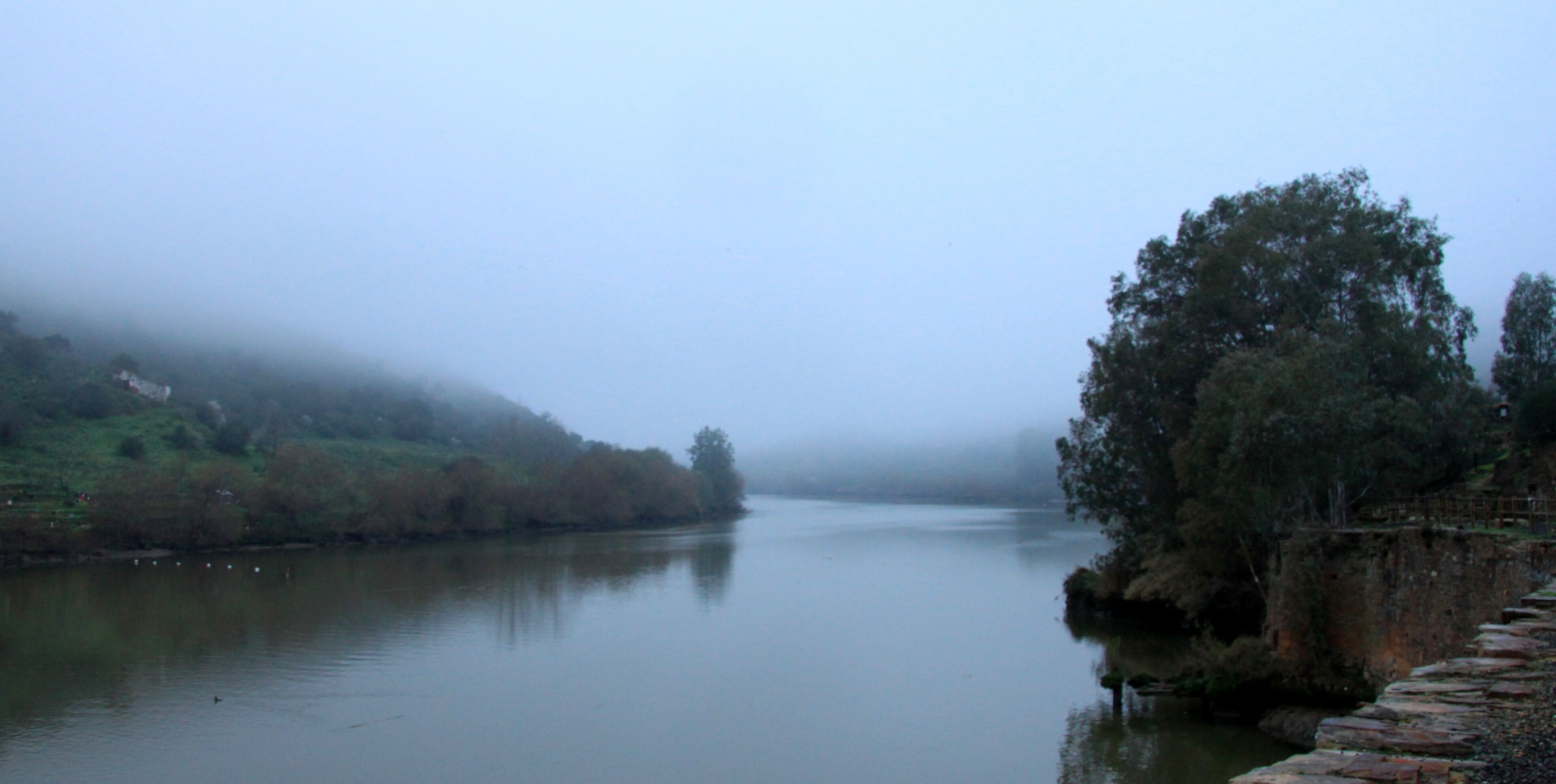 A river with a stone bridge and dense trees on the right bank.