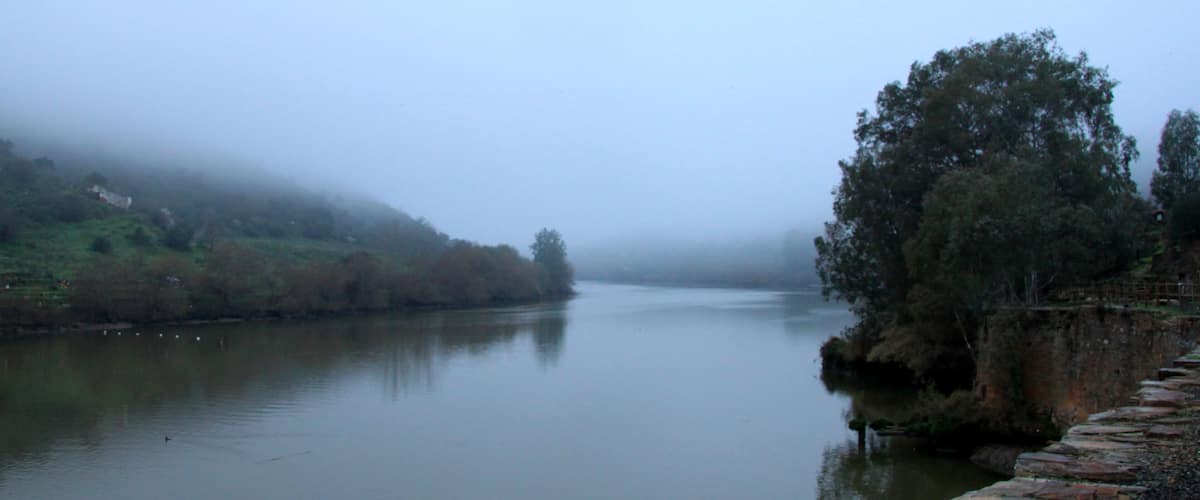A river with a stone bridge and dense trees on the right bank.