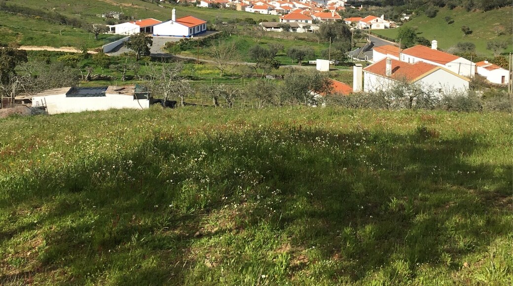 Simple life in the valleys!