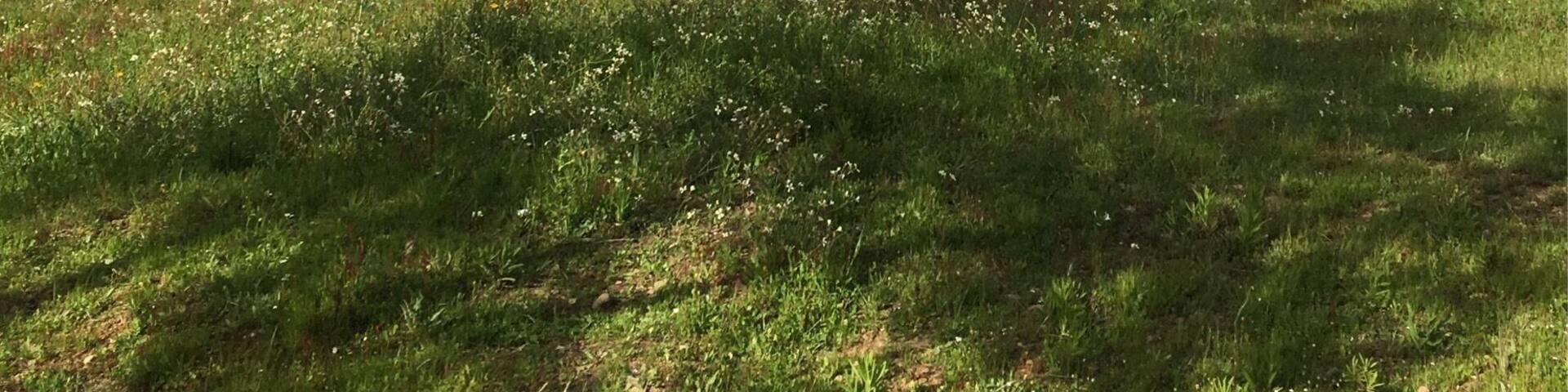 Simple life in the valleys!