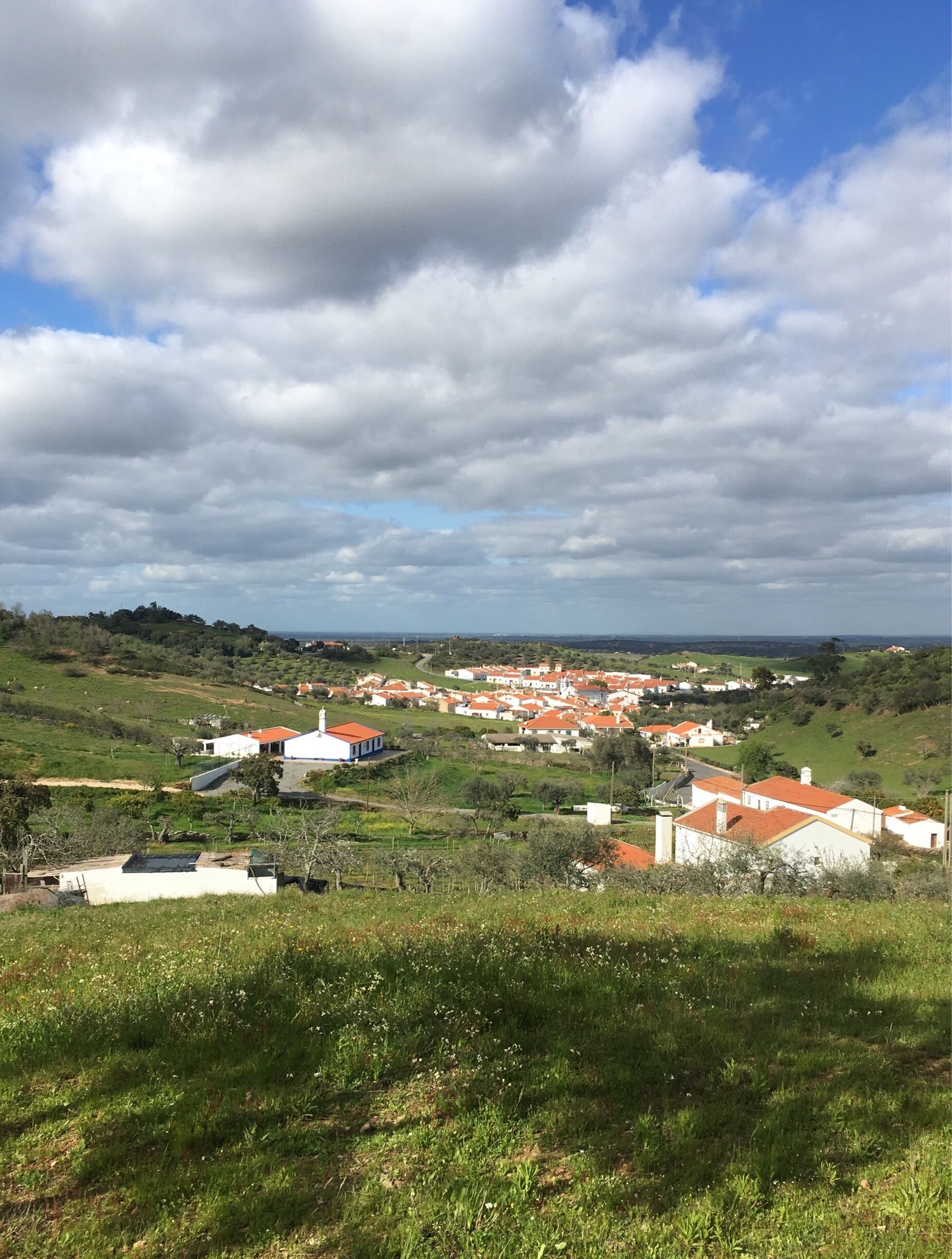 A rural village with red-roofed houses, green fields, and a cloudy sky.