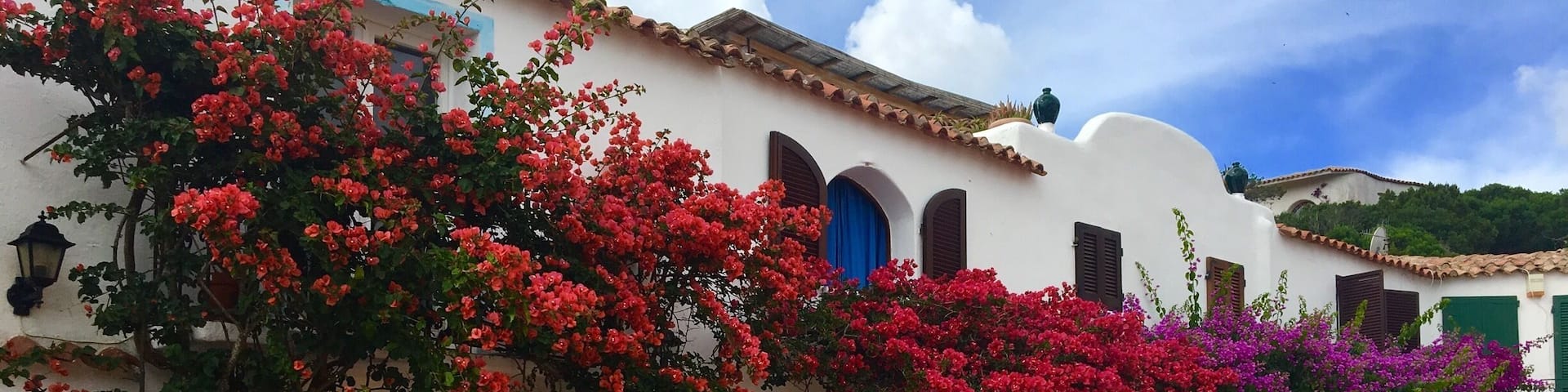 #sardinia #Porto Rafael #Palau #hidden gem #flowers #windows #discover