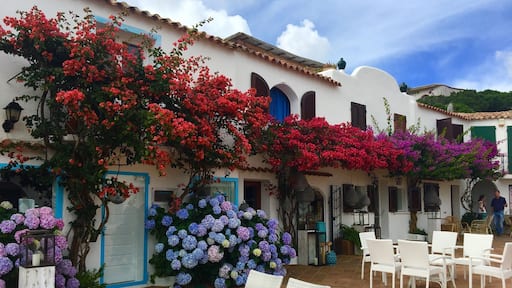 #sardinia #Porto Rafael #Palau #hidden gem #flowers #windows #discover