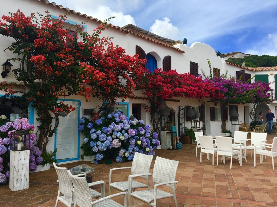 #sardinia #Porto Rafael #Palau #hidden gem #flowers #windows #discover