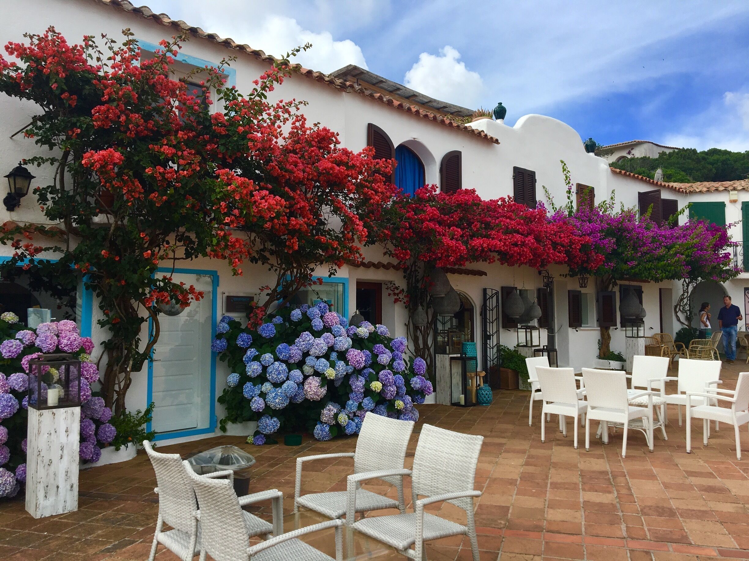 A courtyard with white wicker chairs, a white building with blue trim, and vibrant bougainvillea flowers.