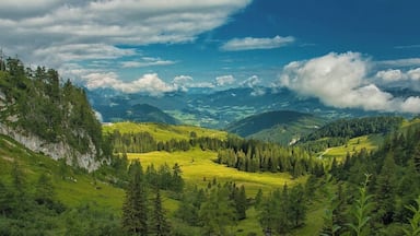 Un paisaje montañoso con valles verdes, bosques densos y cordilleras lejanas bajo un cielo parcialmente nublado.