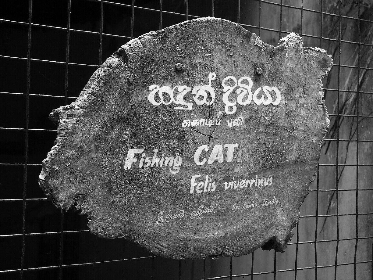 An artistic name board in National Zoo of Sri Lanka. It's eye catching.