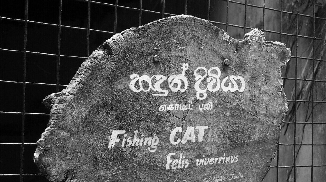 An artistic name board in National Zoo of Sri Lanka. It's eye catching.