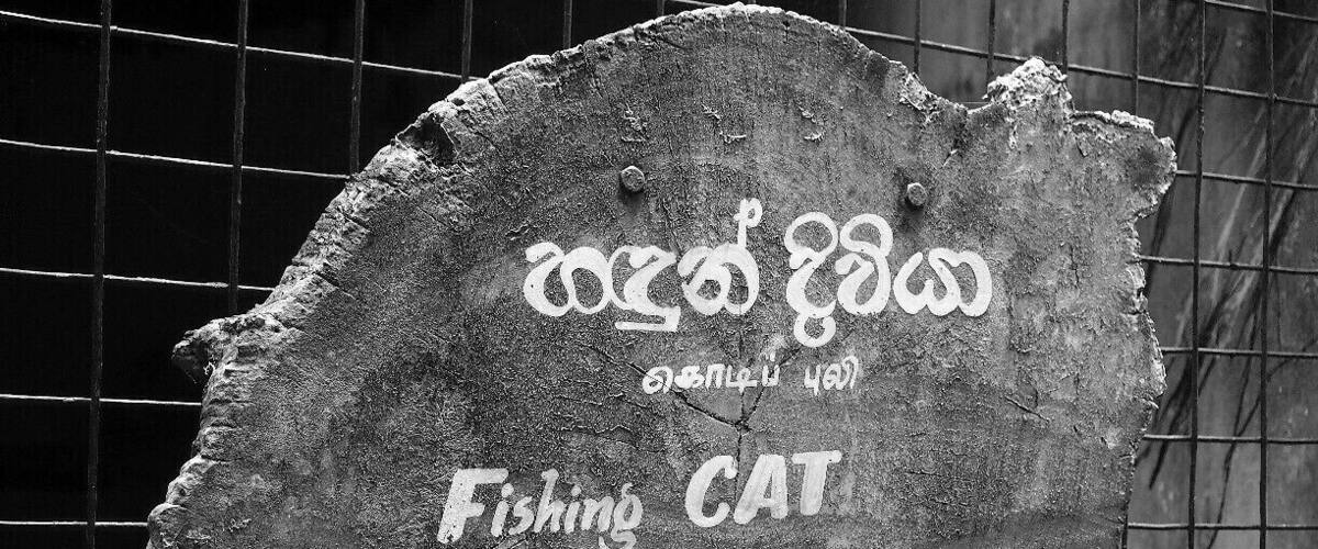 An artistic name board in National Zoo of Sri Lanka. It's eye catching.