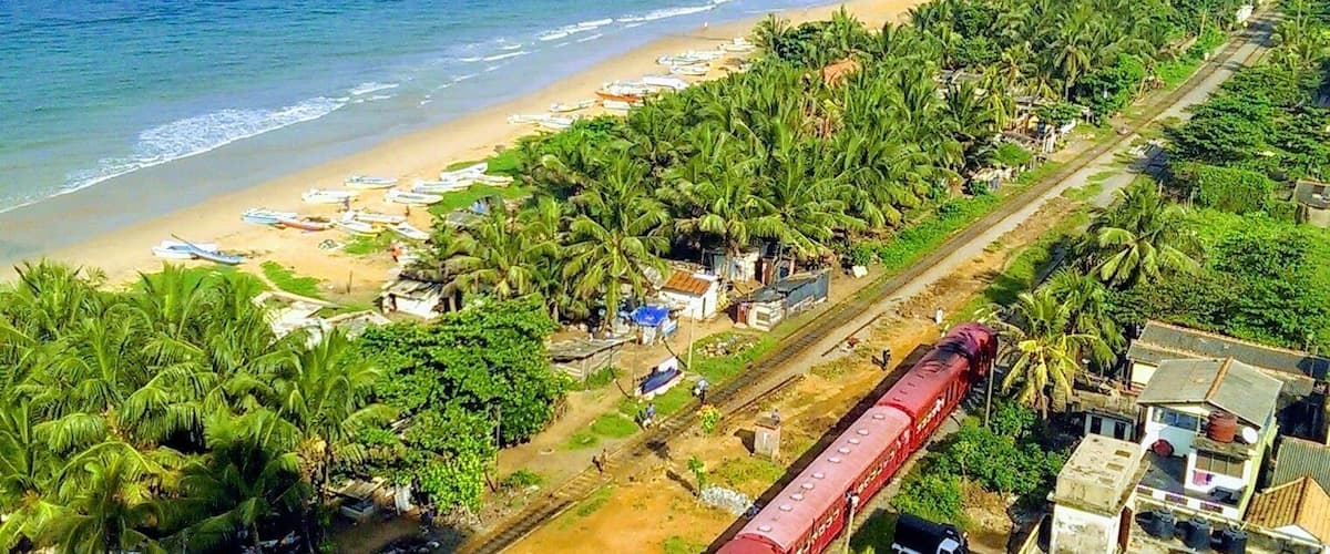 A coastal area with a beach, palm trees, a train, and a distant ship.